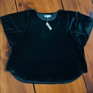 NWT Green velvet velour Madewell top large